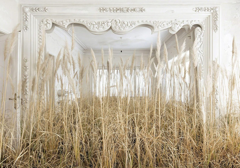 Terkedilmiş İran Evlerinin Kaderi