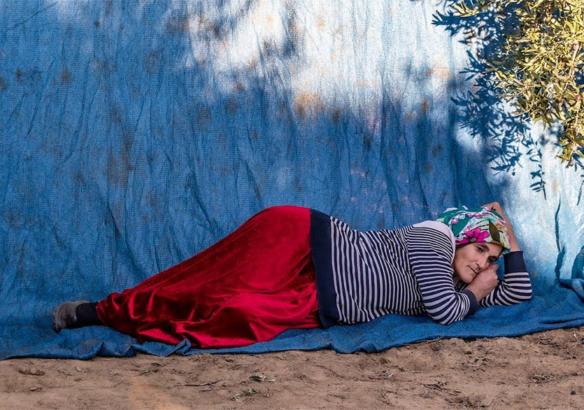 Tarımda Kadın ve Bedeni Üzerine Film Projesi: “Zeytin”