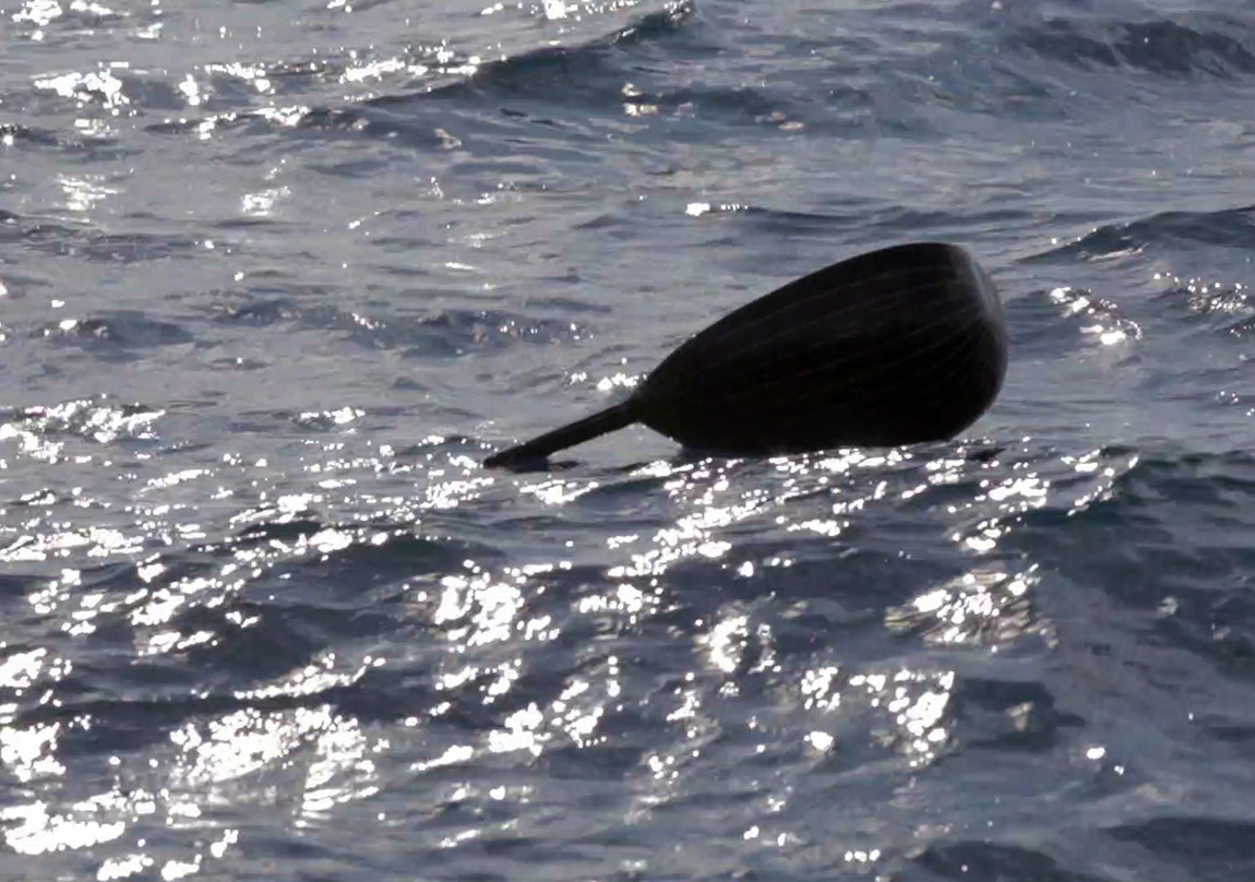 Savaş ve Göç Temalı Videolar Kırmızı Gökyüzünün Altında Birleşiyor
