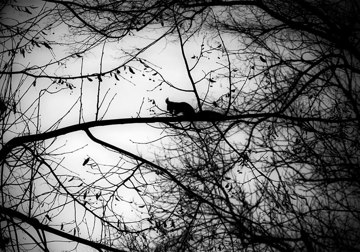 Boyutlararası Eksiltmeli Bir Roman