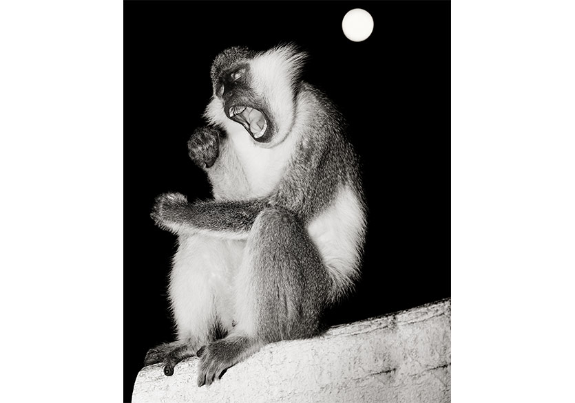 Cihan Öncü’nün “MOTUS” Sergisi Dirimart’ta