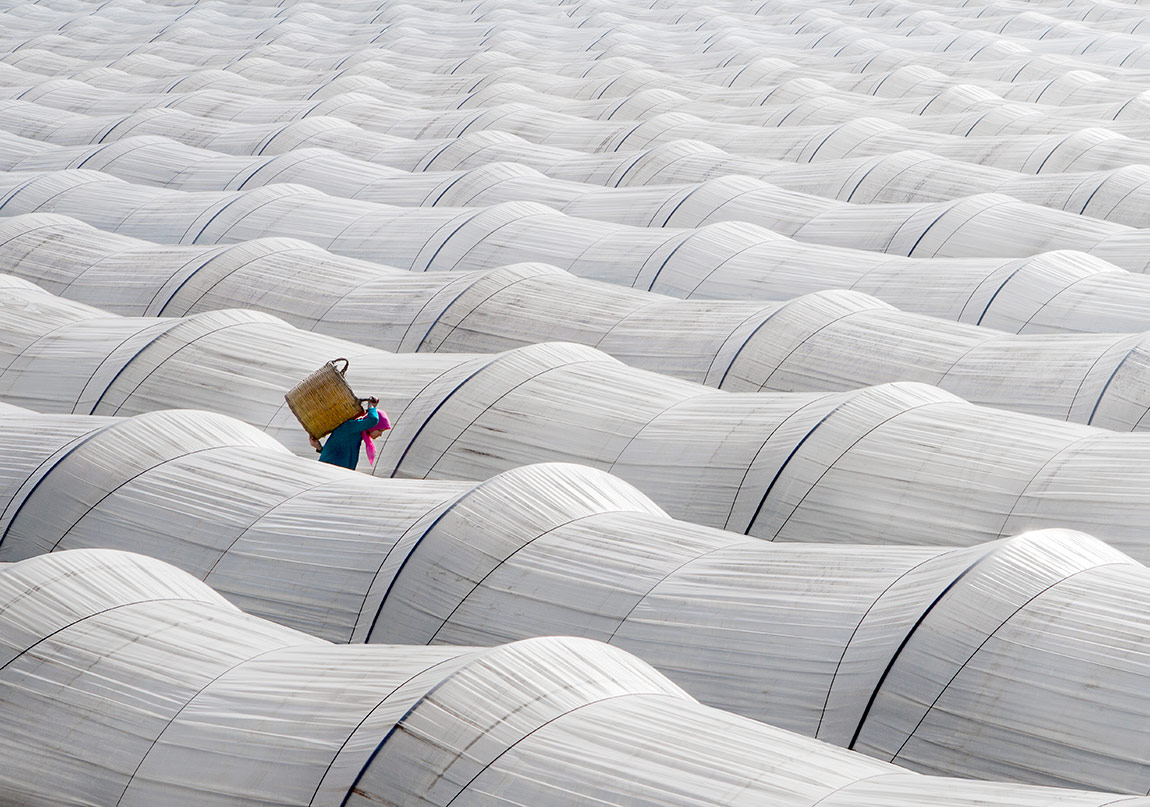 Sony Dünya Fotoğraf Ödülleri Açıklandı
