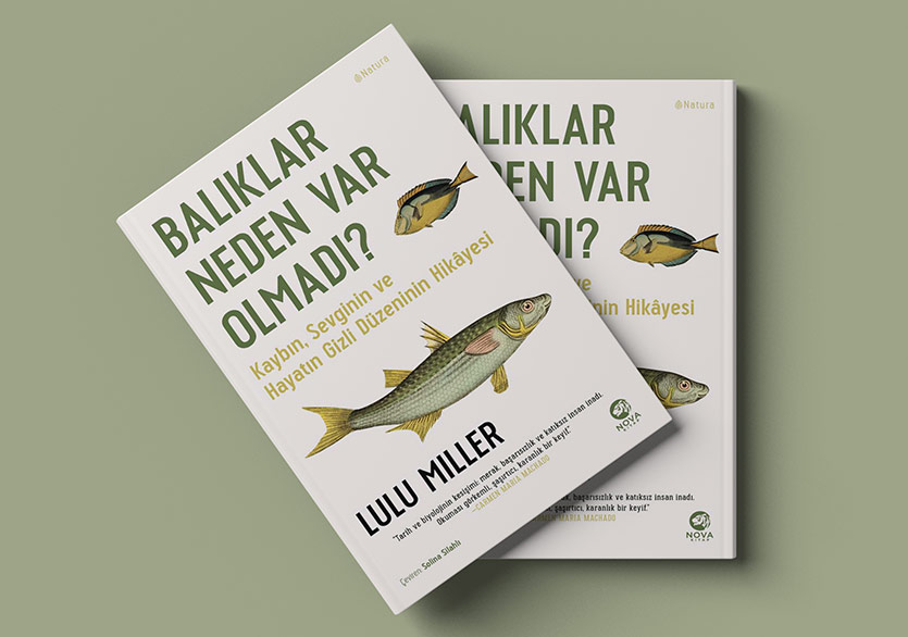 Kaybın, Sevginin ve Hayatın Gizli Düzeninin Hikâyesi