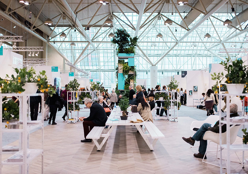 Toronto Festivali Başlıyor!