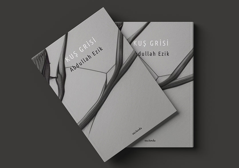 Bir Şiir Dünyası: “Kuş Grisi”