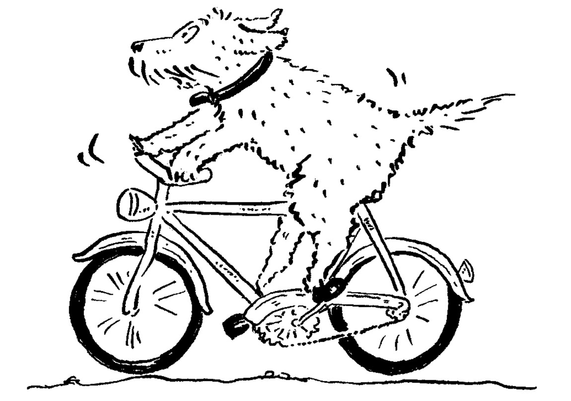 Paul Maar’dan Bay Bello’nun Yeni Maceraları