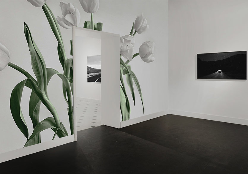 Vision Art Platform’dan İki Yeni Sergi