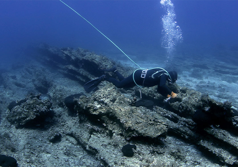 BIFED 2023 Belgeselleri Sinematek’te