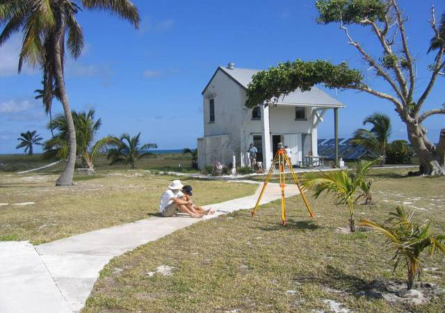 Tropikal Bir Adada Sanat Yapmaya Ne Dersiniz?