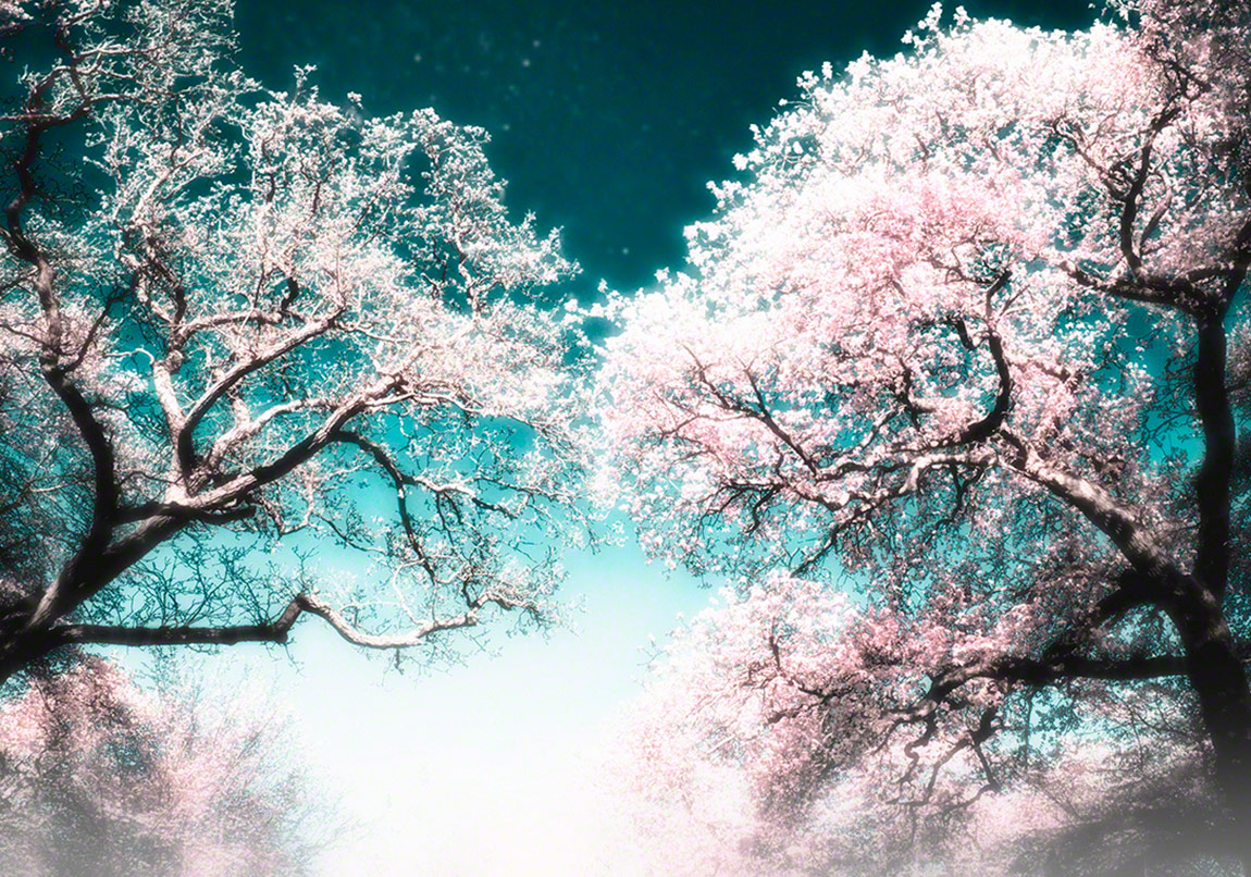 Edebiyatı Hayatın Ta Kendisi Görenlerin Romanı