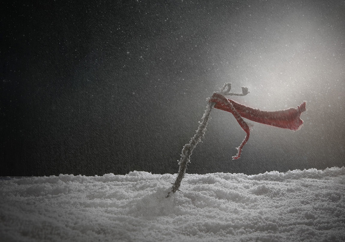 Uzun Bir Kıyametin, Bir Katilin Öyküsü