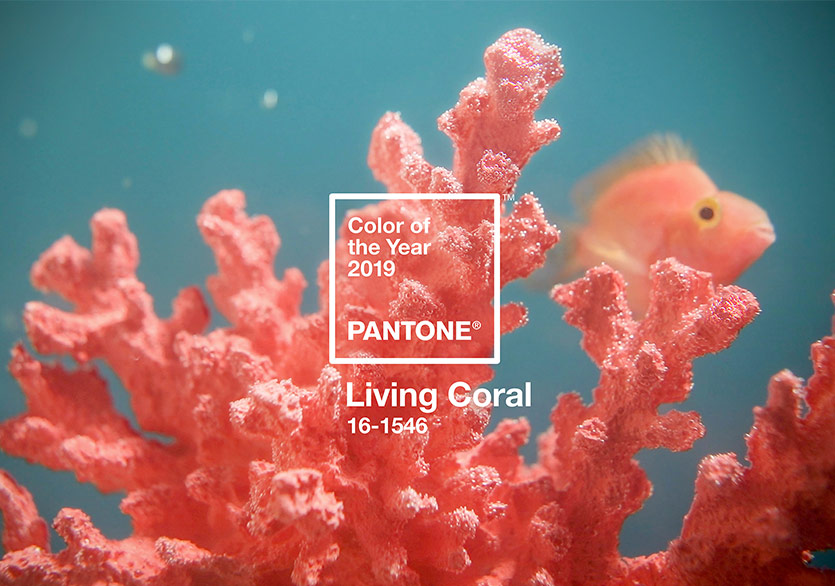 Pantone 2019 Yılının Rengini Tanıttı 