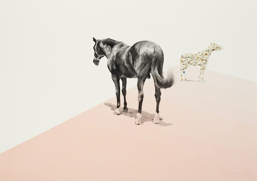 Soğuk Renkler, Donuk Suratlar