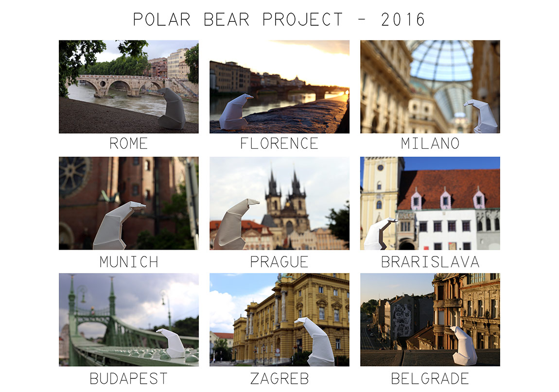 Kutup Ayısı'nın Son Durağı İstanbul