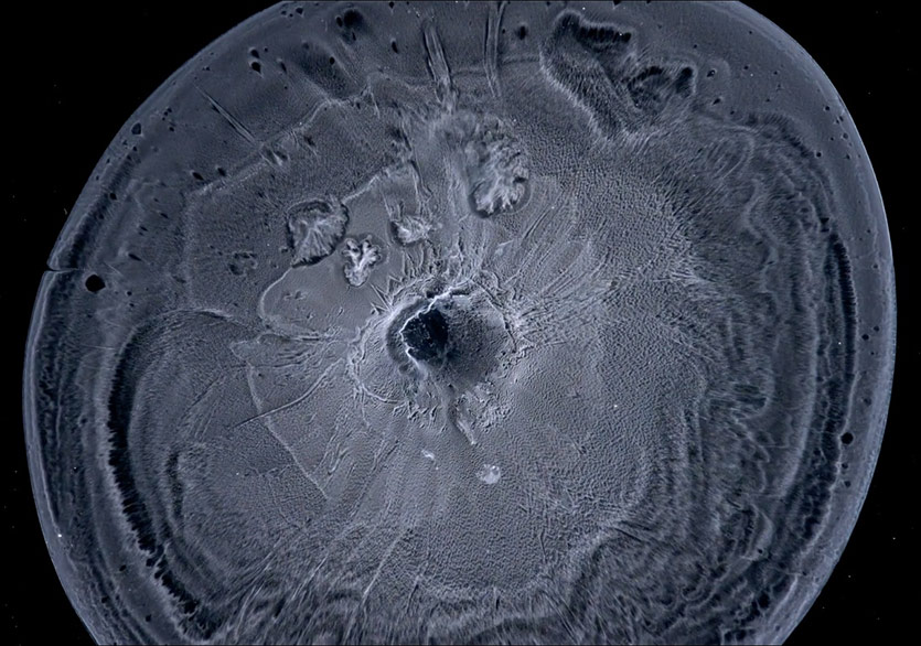 Mercek Altındaki Sanatsal Tepkimeler