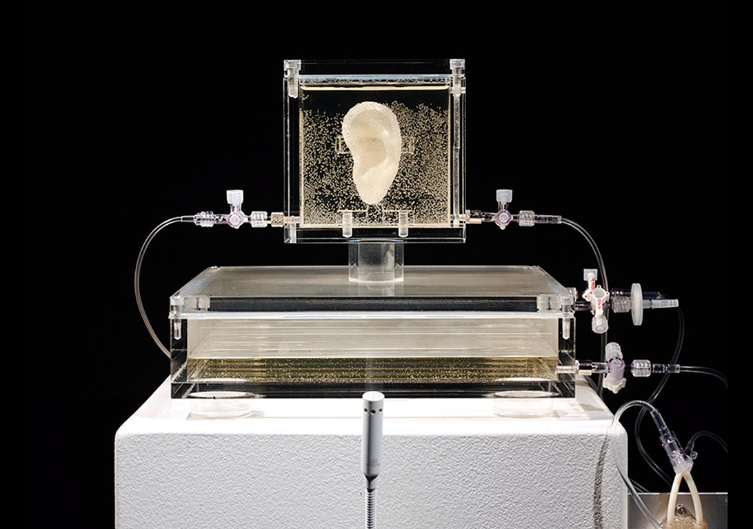 Van Gogh da Bizi Duyabilecek mi?