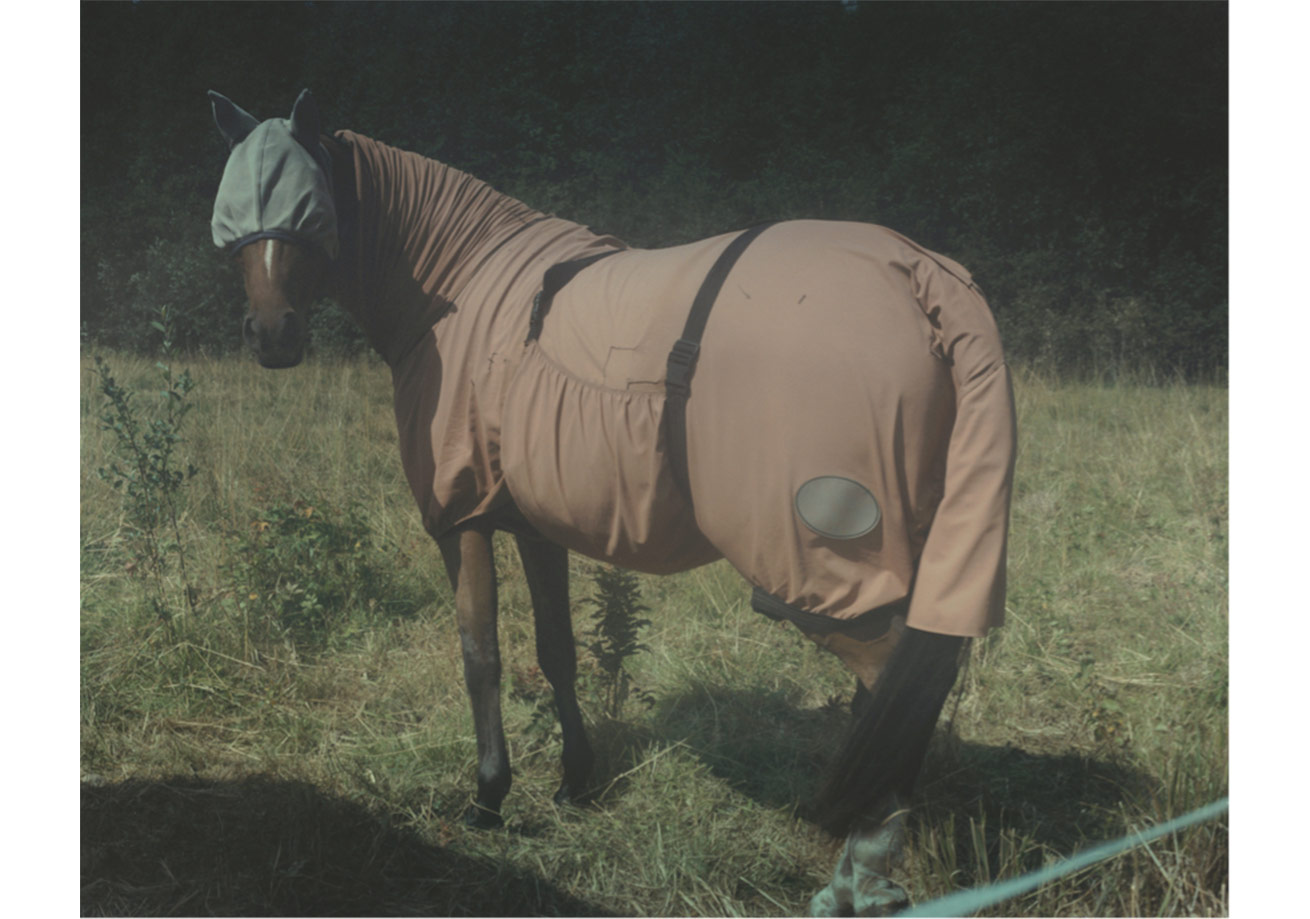 Martina Hoogland Ivanow Eşliğinde Fotoğraf Atölyesi