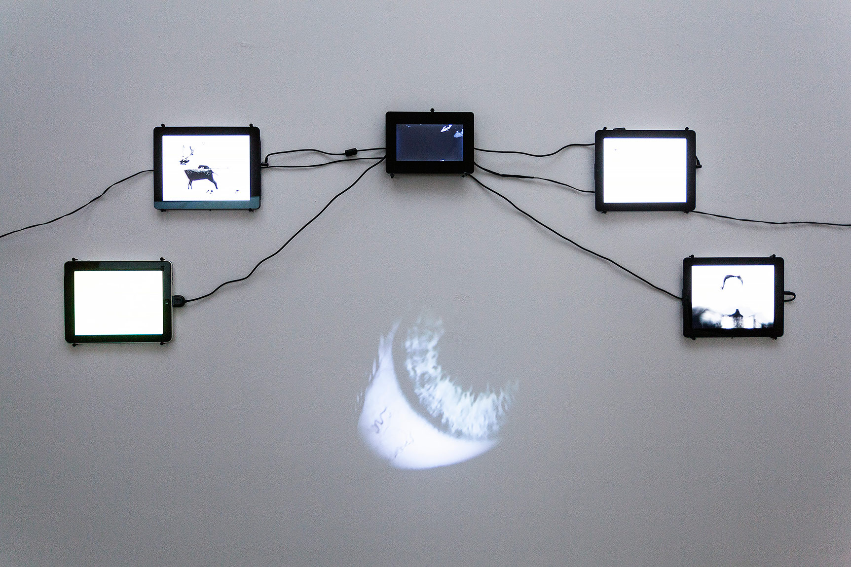 Olasılıklar ve Tercihler