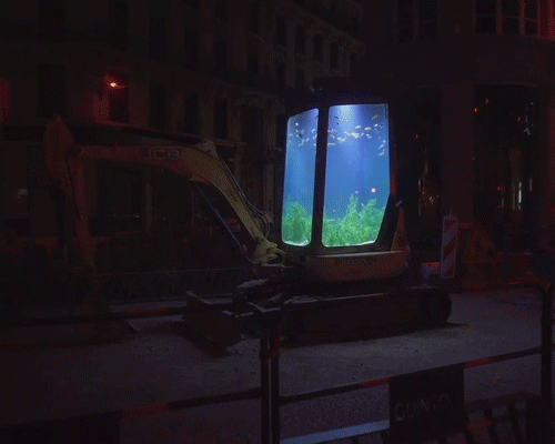 Bu Akvaryum Bayağı Farklı!