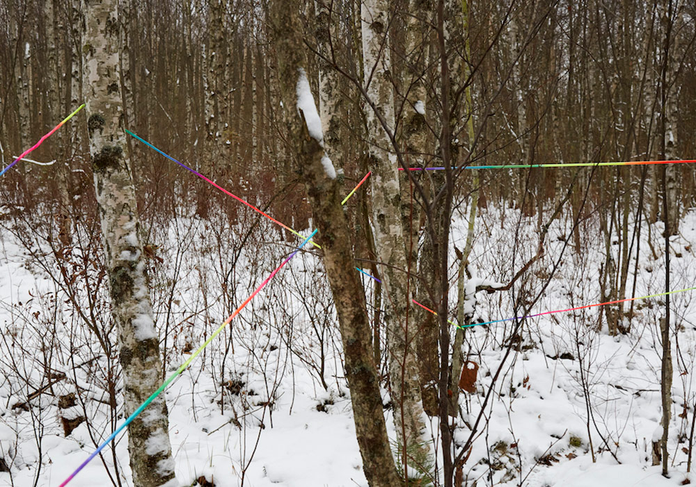 Belki de Senin Gibi Olmak İstiyorum