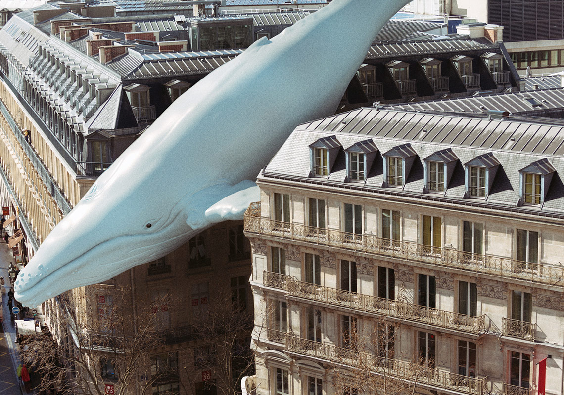 Rusya’dan Bir Mavi Balina