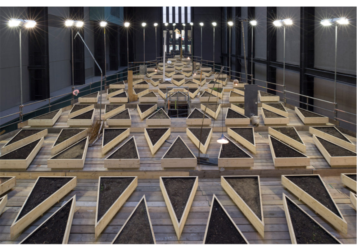 Yaşayan Boş Bir Arsa