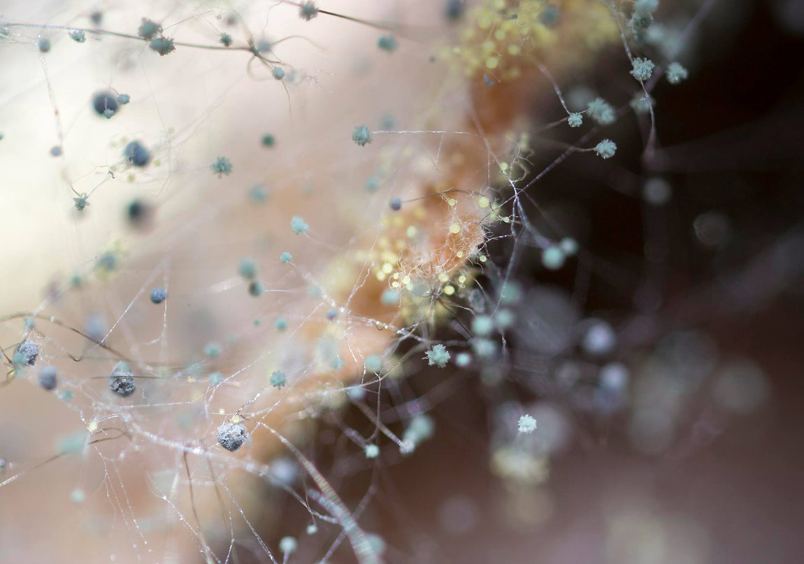 Üretim Sürecine Odaklanan Bir Sergi
