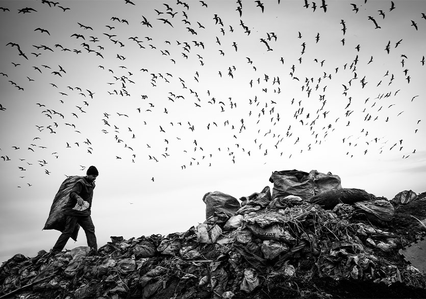 “Farkında Mısın?” 2. Ulusal Fotoğraf ve Kısa Video Yarışması İçin Başvurular Başladı 
