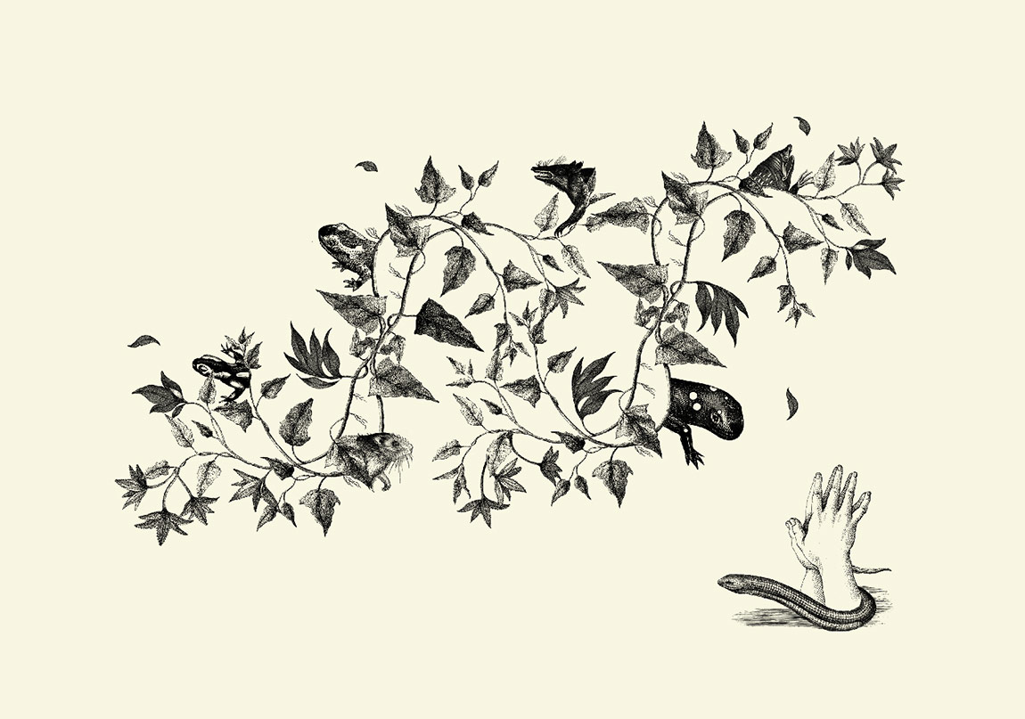 Türkiye'nin 150 Yılı: Tarih, Toplum ve Edebiyat