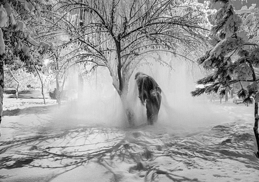 Mamut Art Project’in 12. Edisyonu Başlıyor