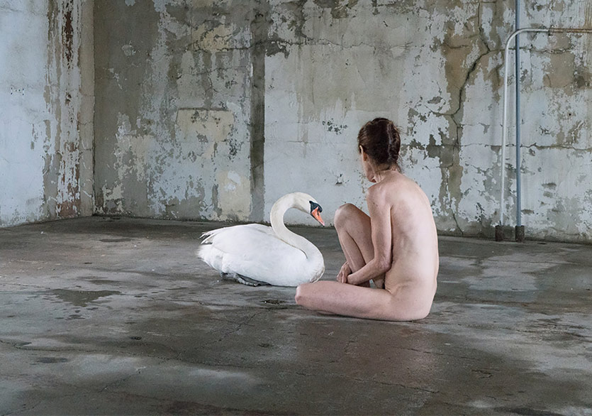 Susan Silas “Evcilleşmemiş” Sergisi ile KOLİ Art Space’de