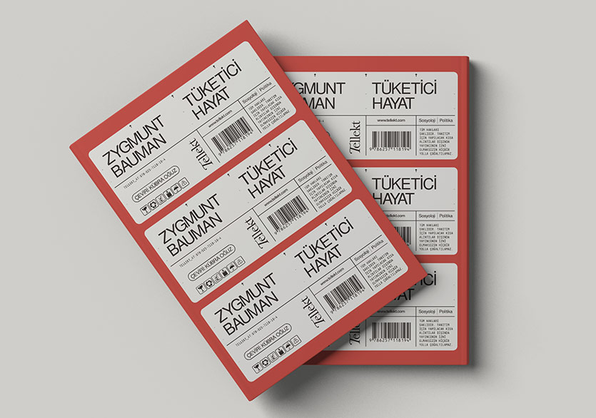 Üreticiler Toplumundan Tüketiciler Toplumuna: “Tüketici Hayat”