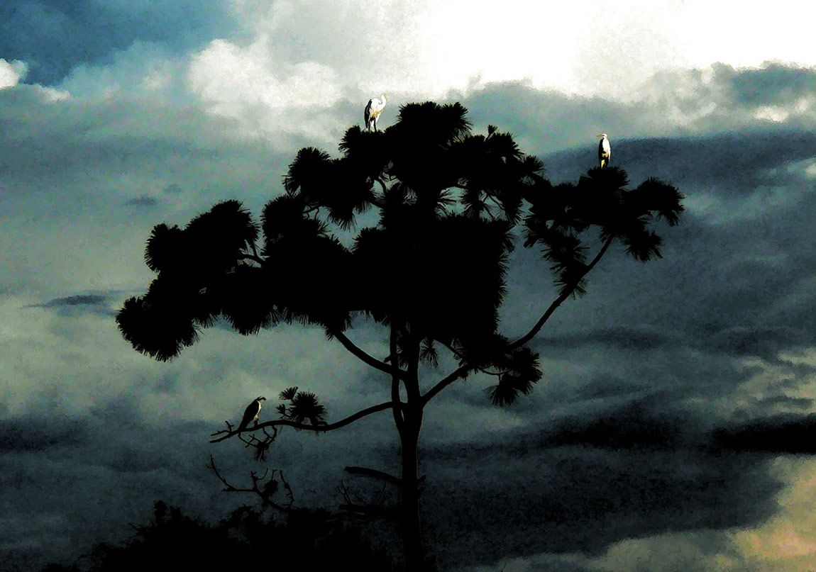 Her Şey Burada Başladı ve Bitti!