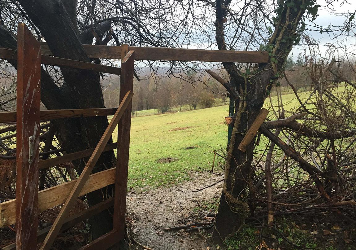 Performistanbul Birinci Yaşını Kutluyor