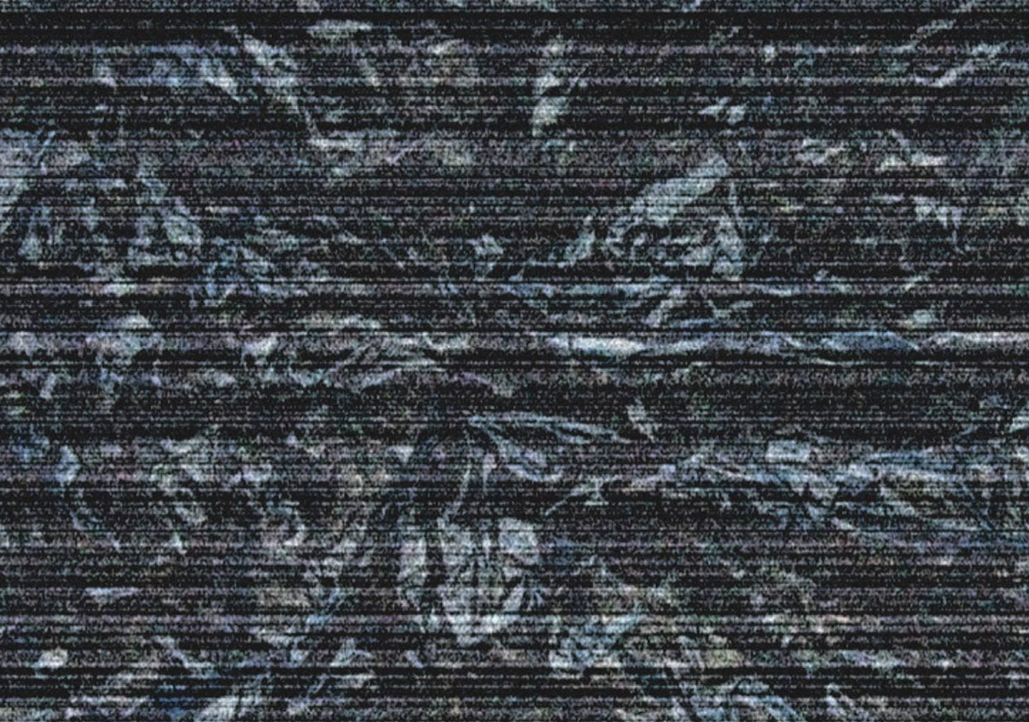 İstanbul’da Bir Gezinti