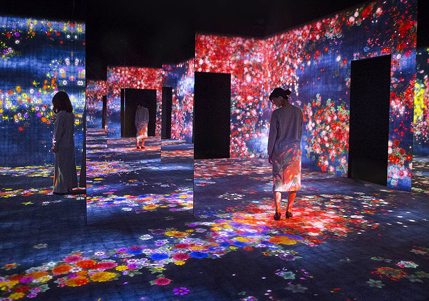 Dijital Bahçenin Yaşam Döngüsü