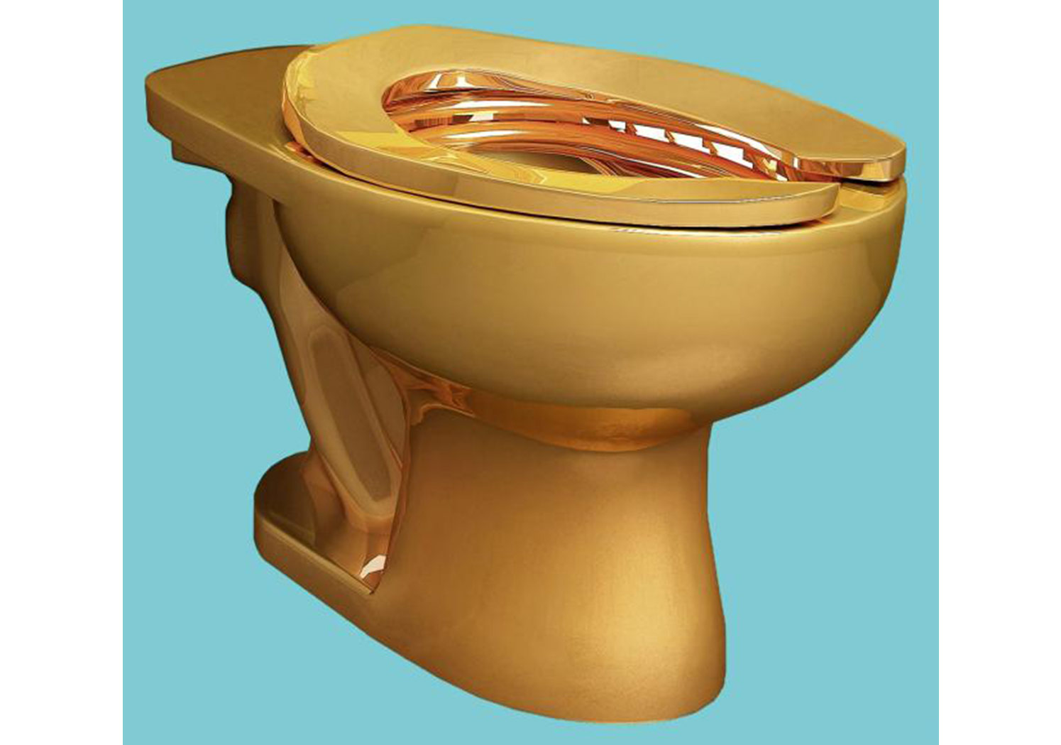 18 Karatlık Bir Tuvalet