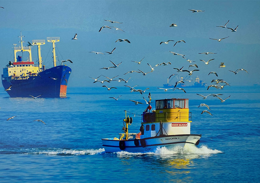 İBB ve FOTON Derneği’nin İş Birliği: “Sevgilim İstanbul”