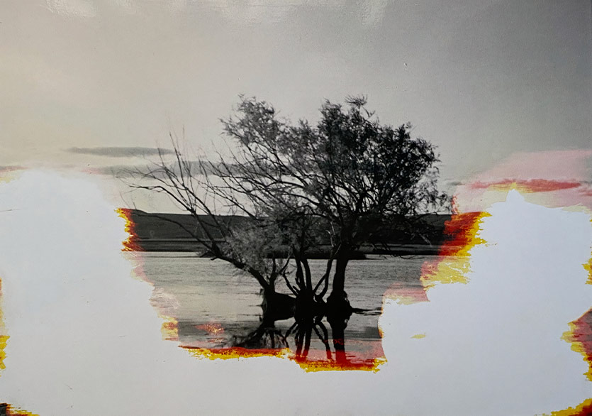 BE Contemporary’den Yeni Sergi: “Gerçek Miydi Yaşananlar?” 