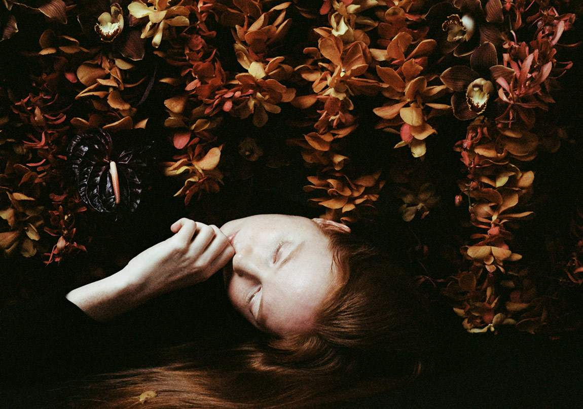 Portrelere Yansıyan Çiçekler