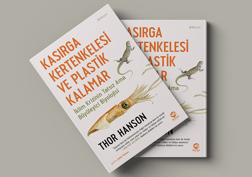 İklim Değişikliği Evrimi Nasıl Yönlendiriyor?