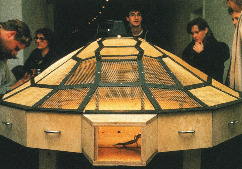 Çin’in Yakın Tarihine Sanatsal Bir Bakış