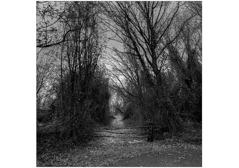 Kamil Fırat’ın “YOL” Sergisi Galeri G-art’ta