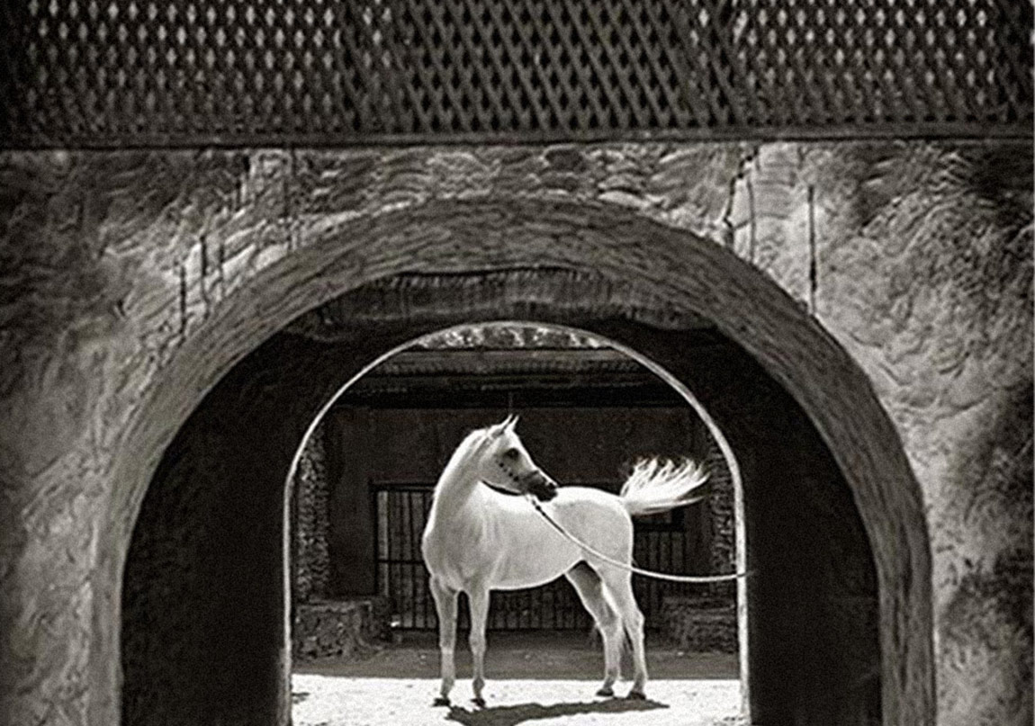 Gürsel Konat’tan “Unutkan Ayna”