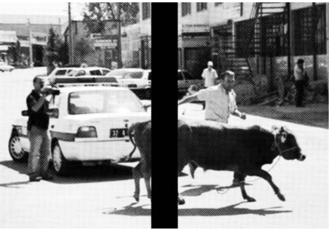   Kaygılı ve Kışkırtıcı Bir Sergi