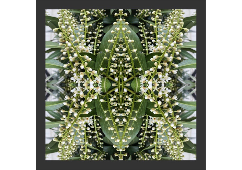 Ceki Celardin’in “Mutluluk Yanılsaması” Sergisi Kurşunlu Han’da