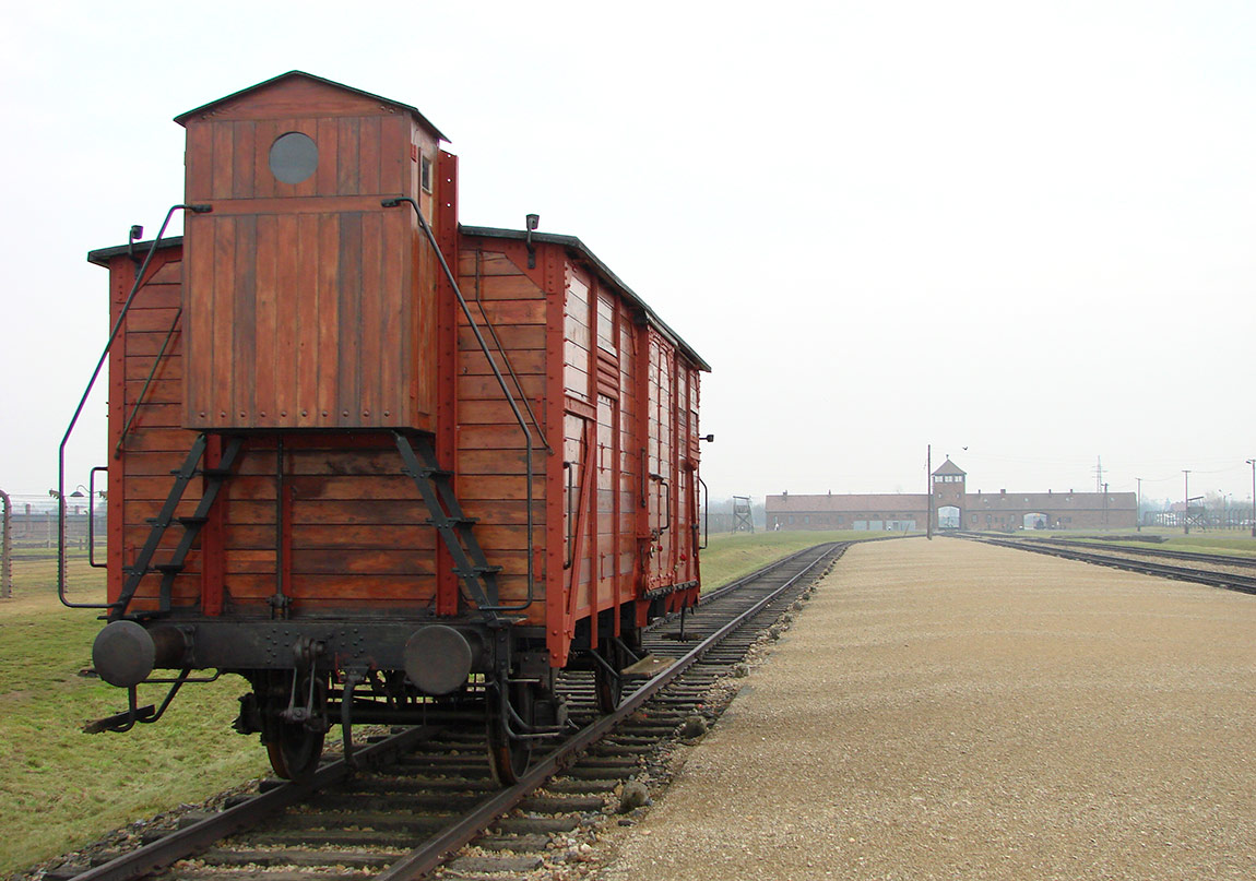 Ödüllü Bir Roman: Bugün Hayattayız Ya
