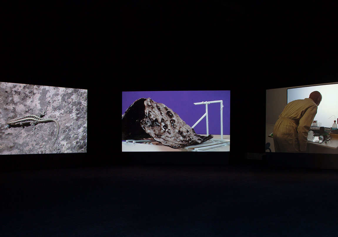 Neolitik Çağ’dan Bugüne Zaman