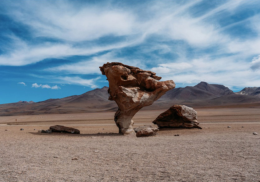 Hareket Hâlindeki Doğanın Hikâyesi “Moving Nature”