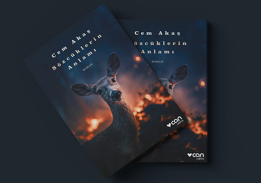 Cem Akaş’tan Yeni Roman: “Sözcüklerin Anlamı”